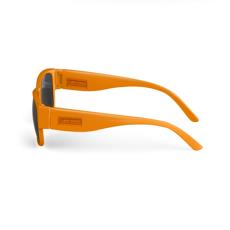 'I AM OASIS' Swagger Sunglasses in Brand Colours with matching Logos